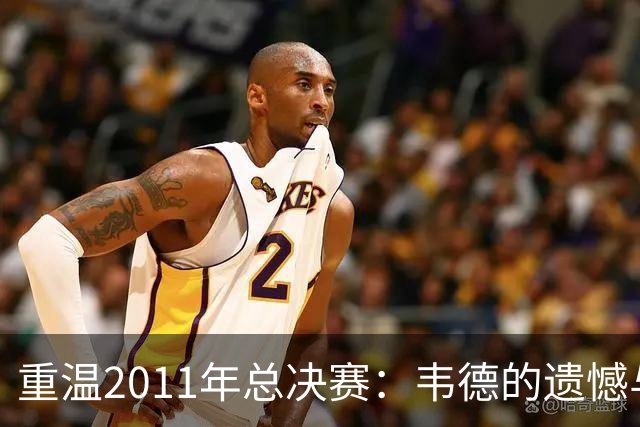 重温2011年总决赛：韦德的遗憾与诺维茨基的传奇